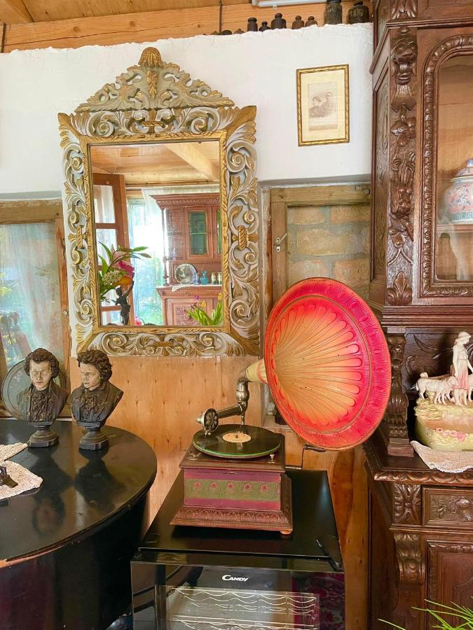 Villa Luca Mosonmagyaróvár Buitenkant foto