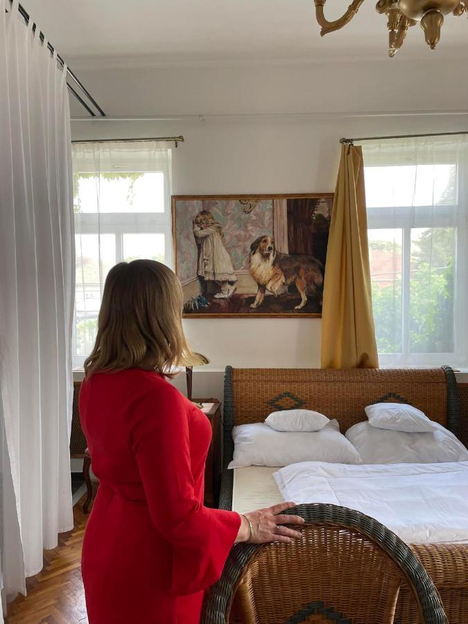 Villa Luca Mosonmagyaróvár Buitenkant foto