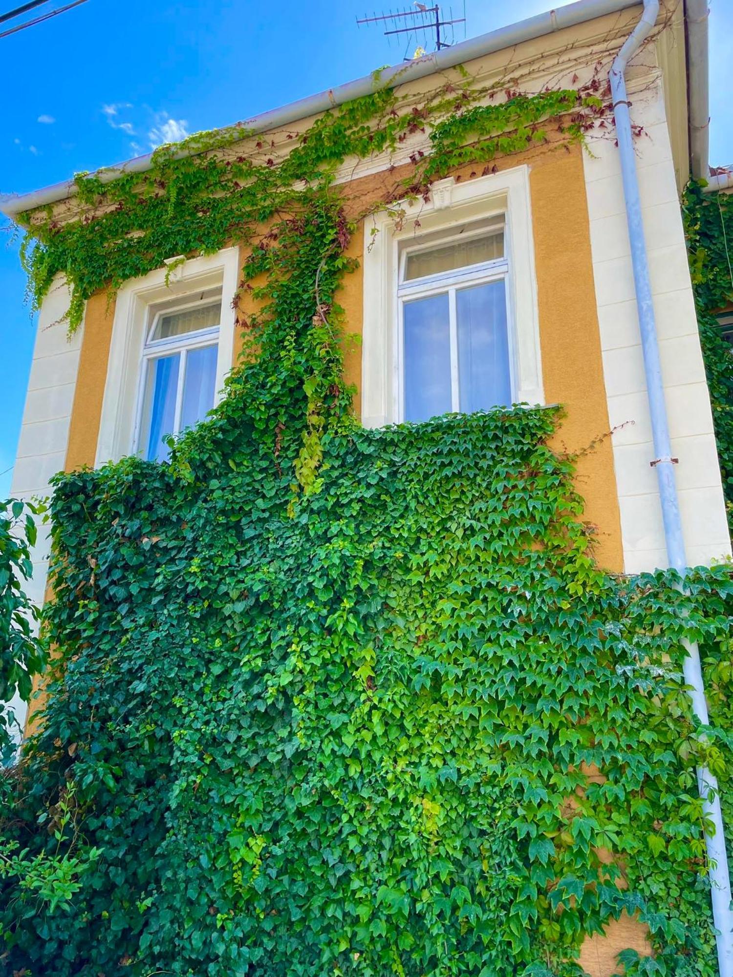 Villa Luca Mosonmagyaróvár Buitenkant foto