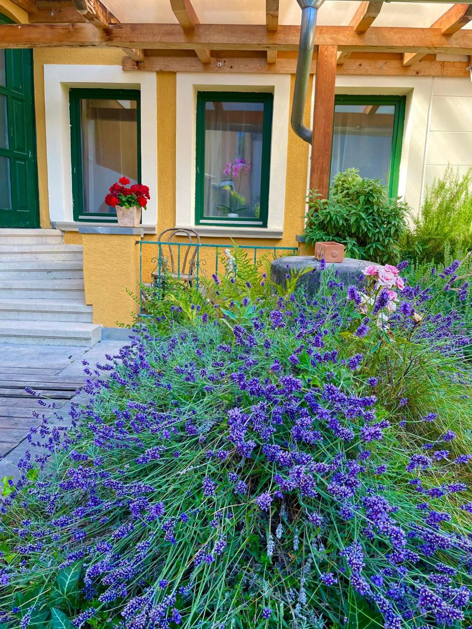 Villa Luca Mosonmagyaróvár Buitenkant foto